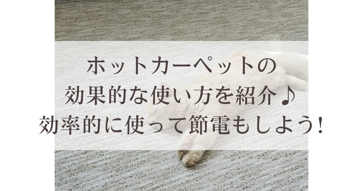 ホットカーペットの効果的な使い方を紹介♪効率的に使って節電もしよう!