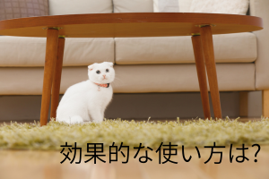 リビングにいる猫と効果的な使い方は?の文字